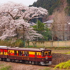 廃校の木造校舎に咲く桜