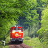新緑を巡る旅　４