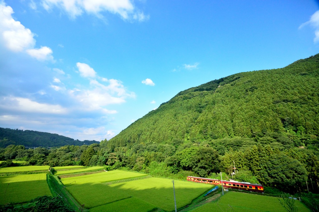 夏だ！わっしー号だ！