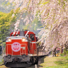 花桃号