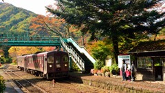 秋だ！「わ鐵」乗ろう 