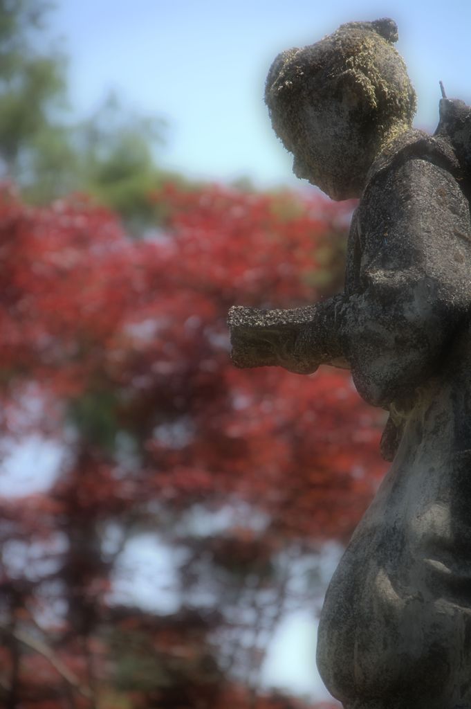 Nostalgia　２