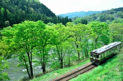新緑、渡良瀬川渓谷を走る　３