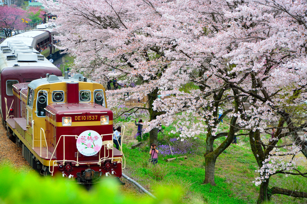 「花桃号」