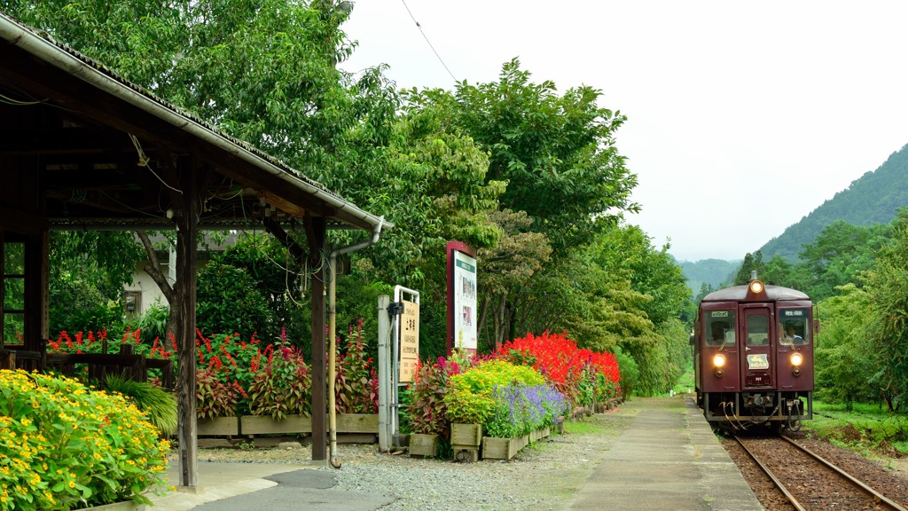 花の駅　２