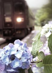 あじさいの駅　３