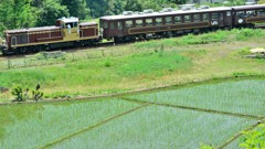 田園風景と「わたらせ渓流号」
