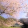 花＊いっぱいの駅　２