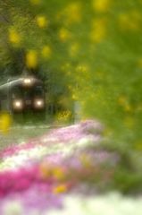お花と「わ鐵」はよく似合う