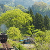 新緑を巡る旅　３