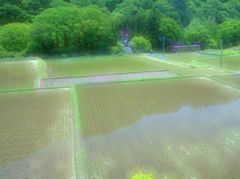 田園風景と「あずき色」