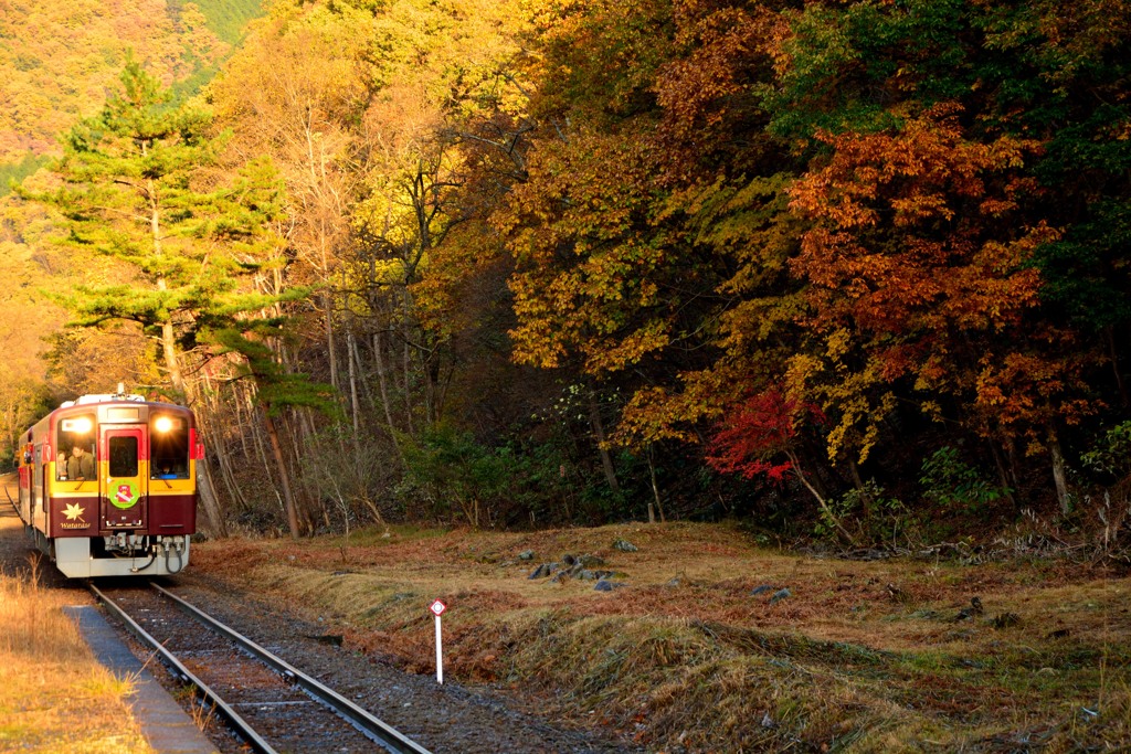山峡の小さな駅