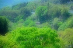 新緑、渡良瀬川渓谷を走る