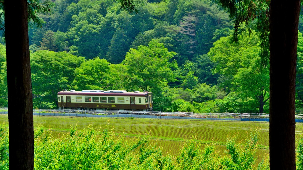 田園風景と「けさまる」