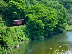 「あずき色」わたらせ渓谷をトコトコ走る