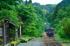 深い緑に囲まれた駅 