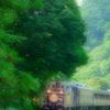 森の息吹を感じながら、、その２