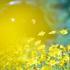 「いつも明るく」