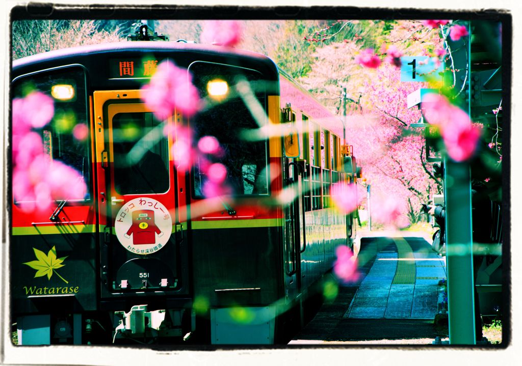 花桃とわっしー号　　３