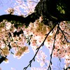 「待ちきれなかった」