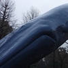 空に憧れたクジラの決意