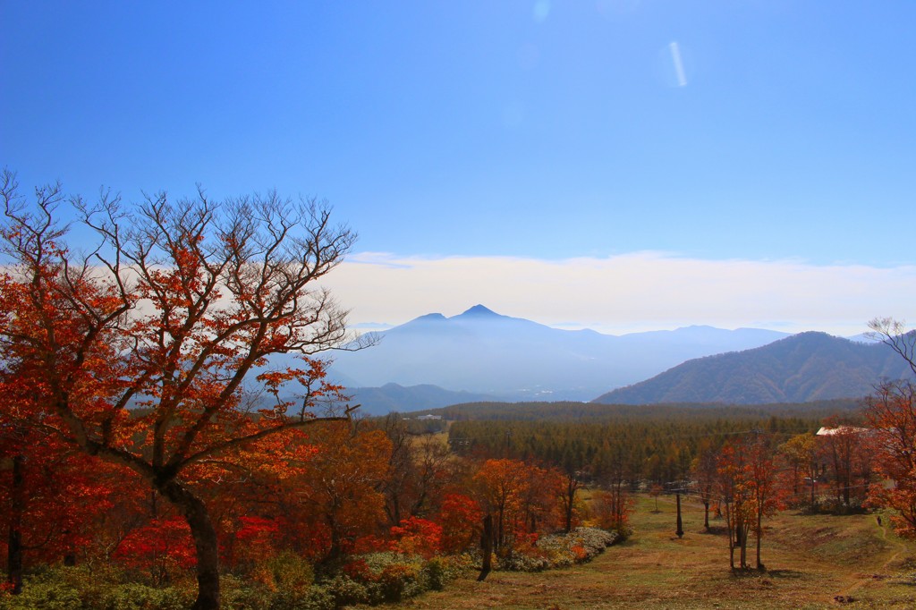 最高の天気