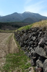 石積の田んぼ