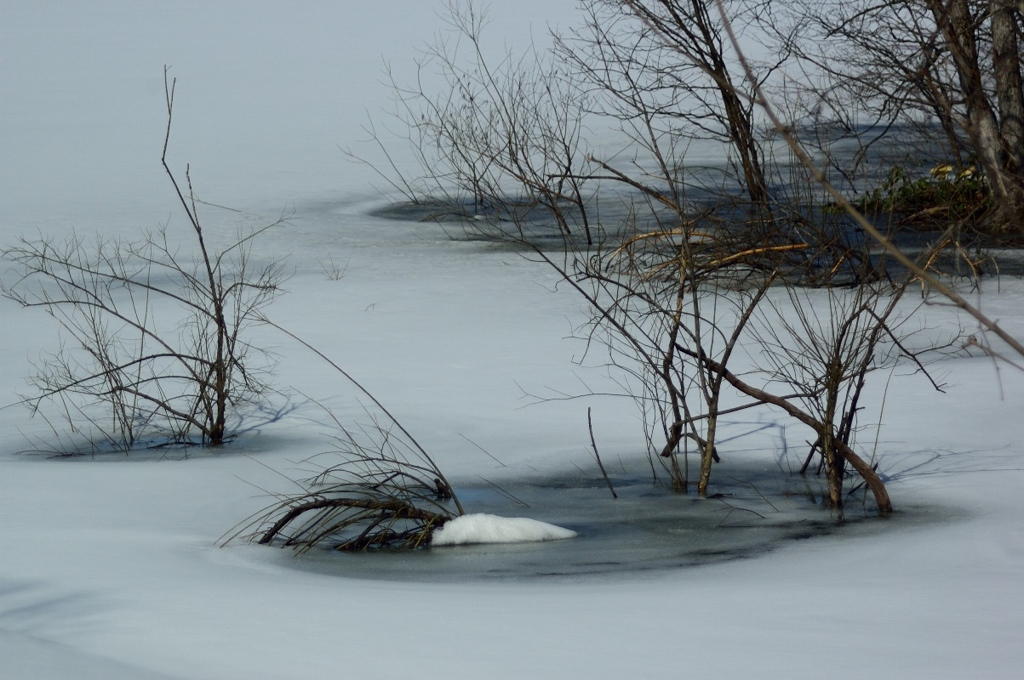 春　雪どけの沼