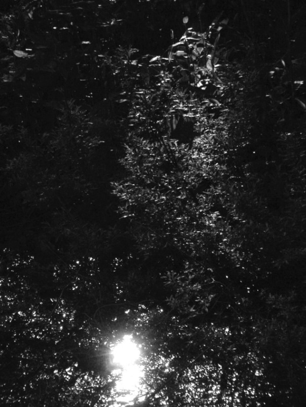 Space to shine