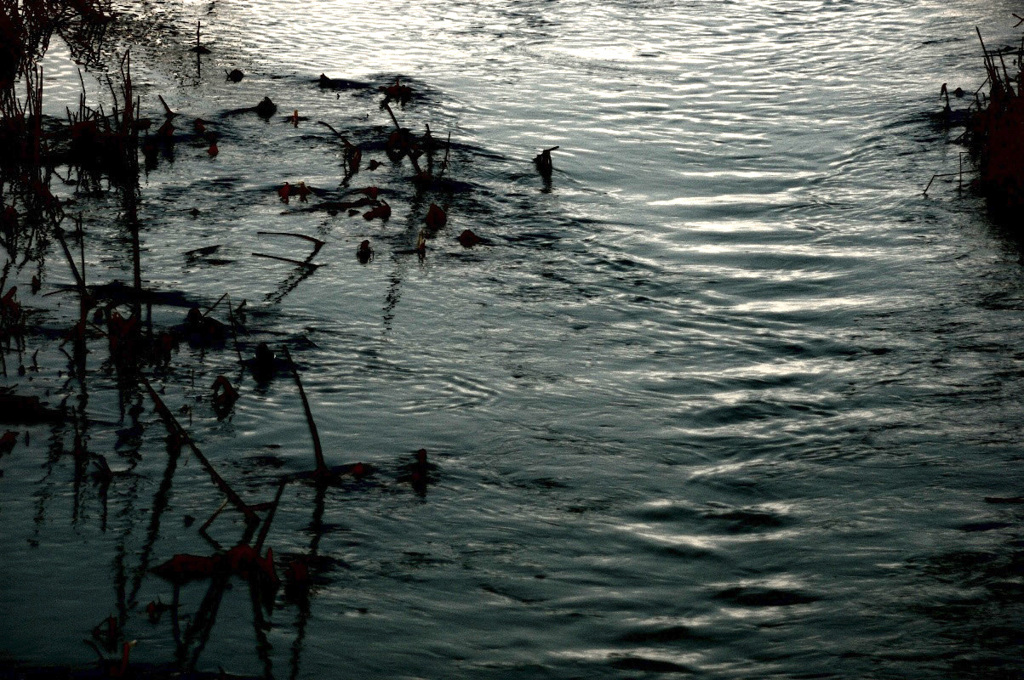 Surface of a river