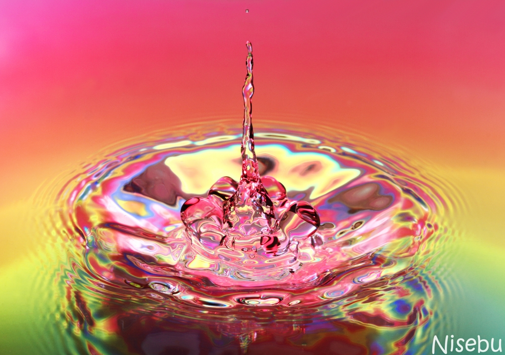 水面花