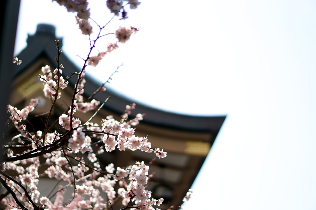 湯島天神