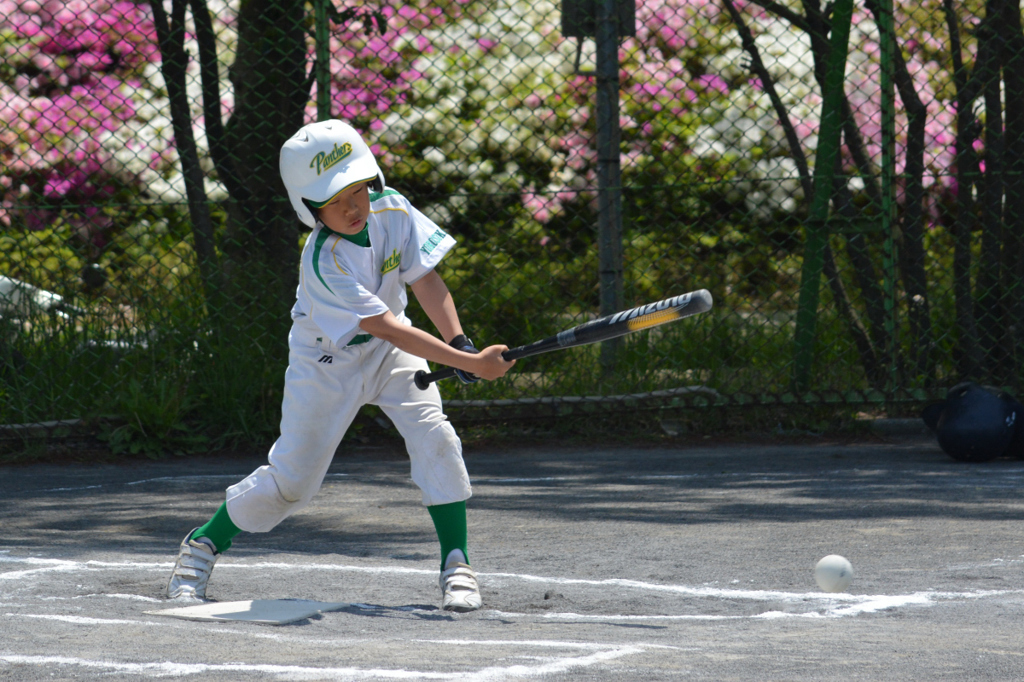 こいのぼり大会04
