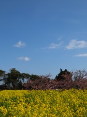 春の風景