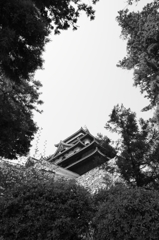 Castle