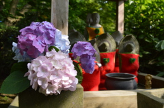 明月院～紫陽花とお地蔵様～