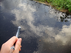 雨の日