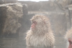 雪の露天風呂