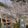 桜＠岩崎城