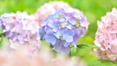梅雨の合間