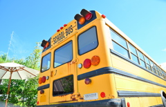 SCHOOL BUS