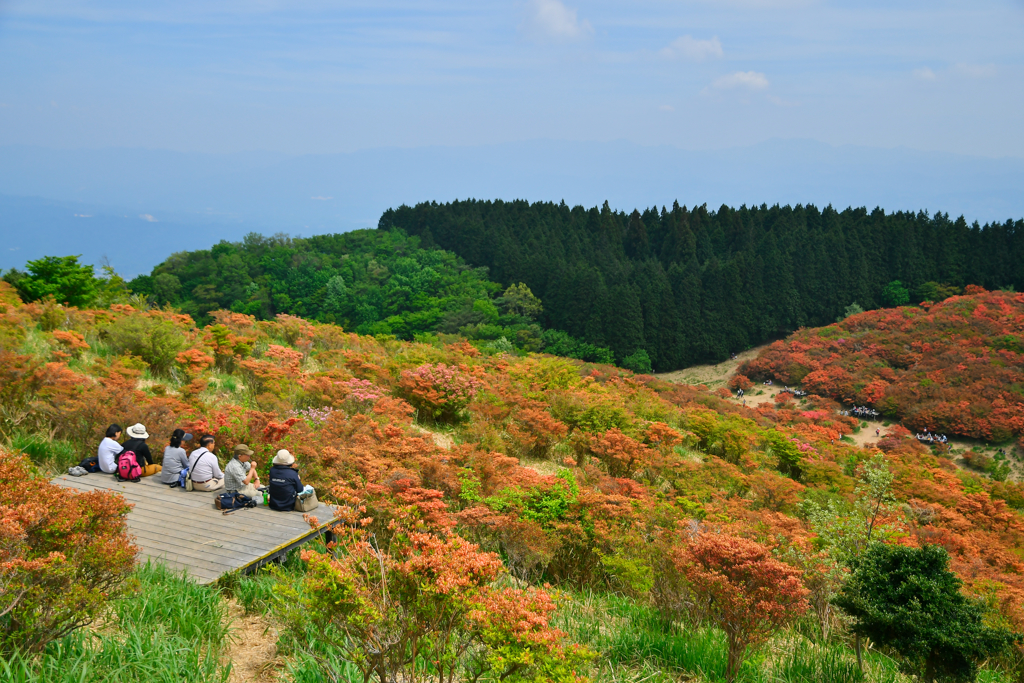 葛城山ハイキング