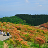 葛城山ハイキング