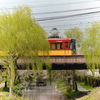春のお散歩～京阪電車と十石舟～