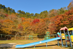In the Park