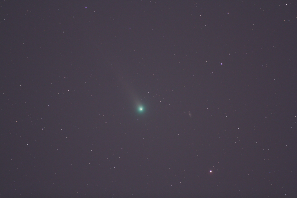 20131123_lovejoy