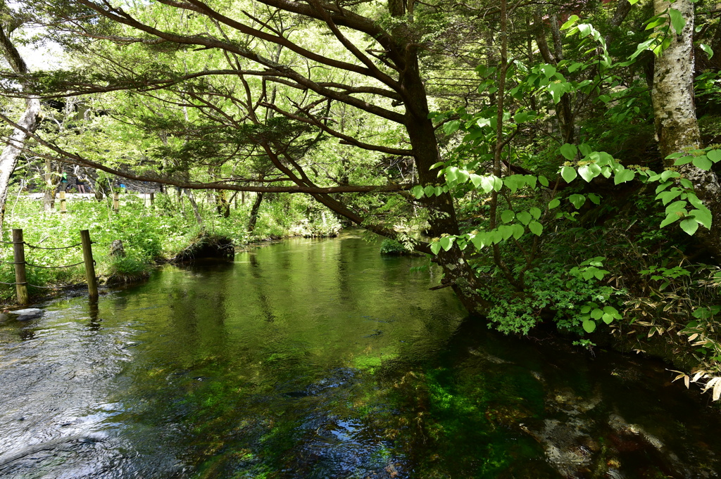 梓川支流