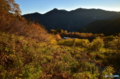朝日に照らされて・・