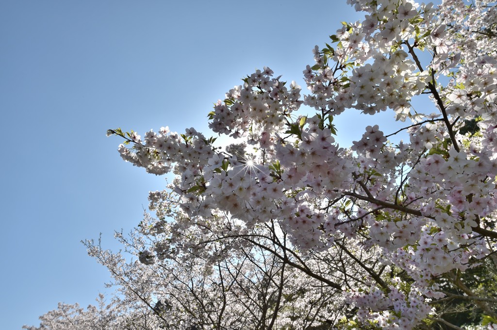 光芒