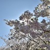 光芒